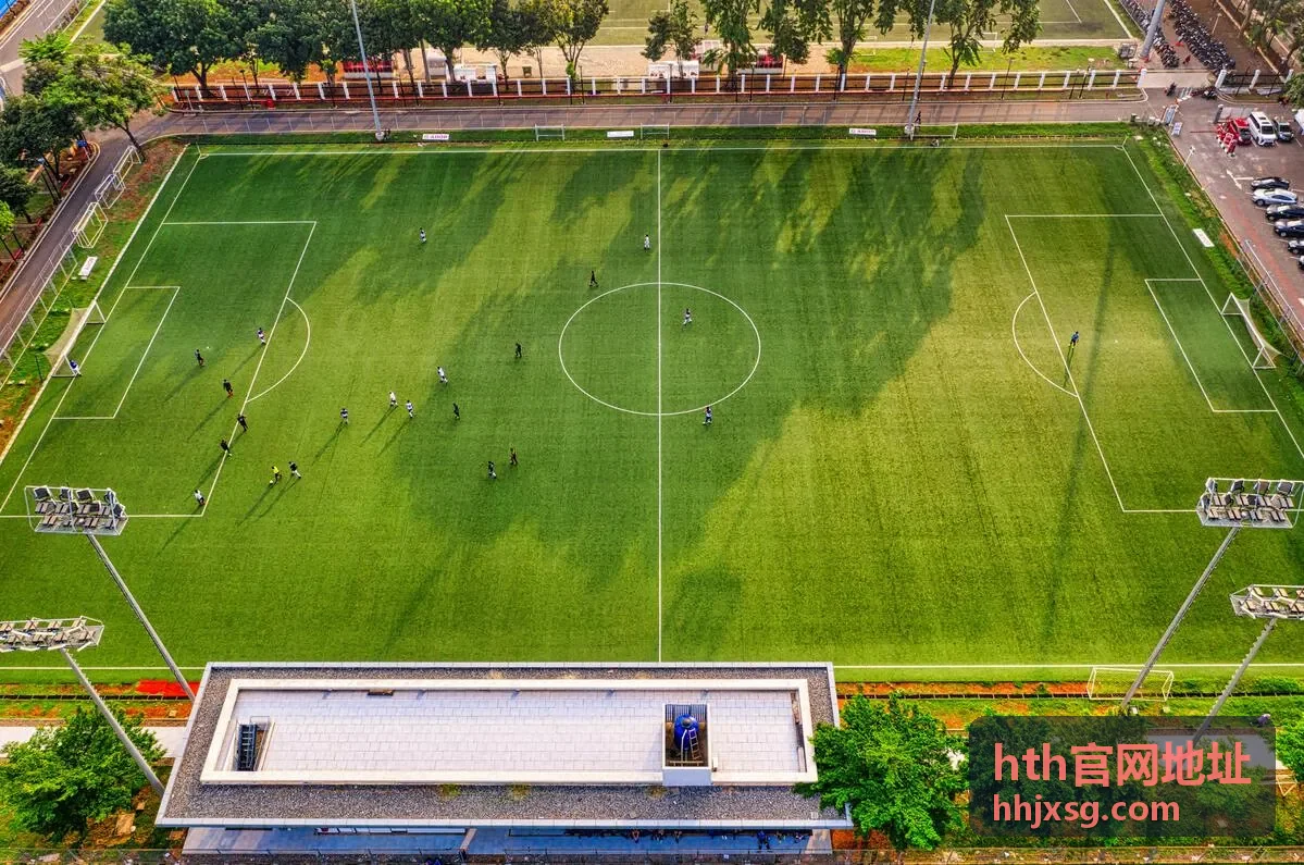hth官网地址地址核对方法说明配图